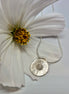 Trace of a Daisy