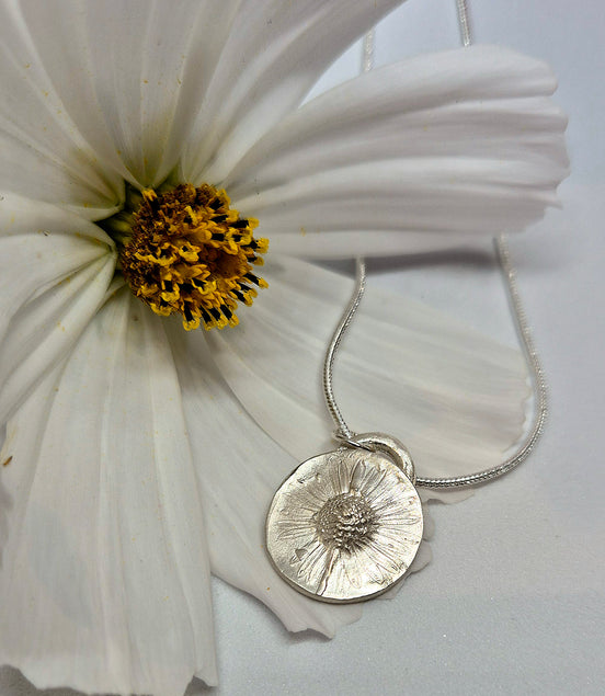 Trace of a Daisy