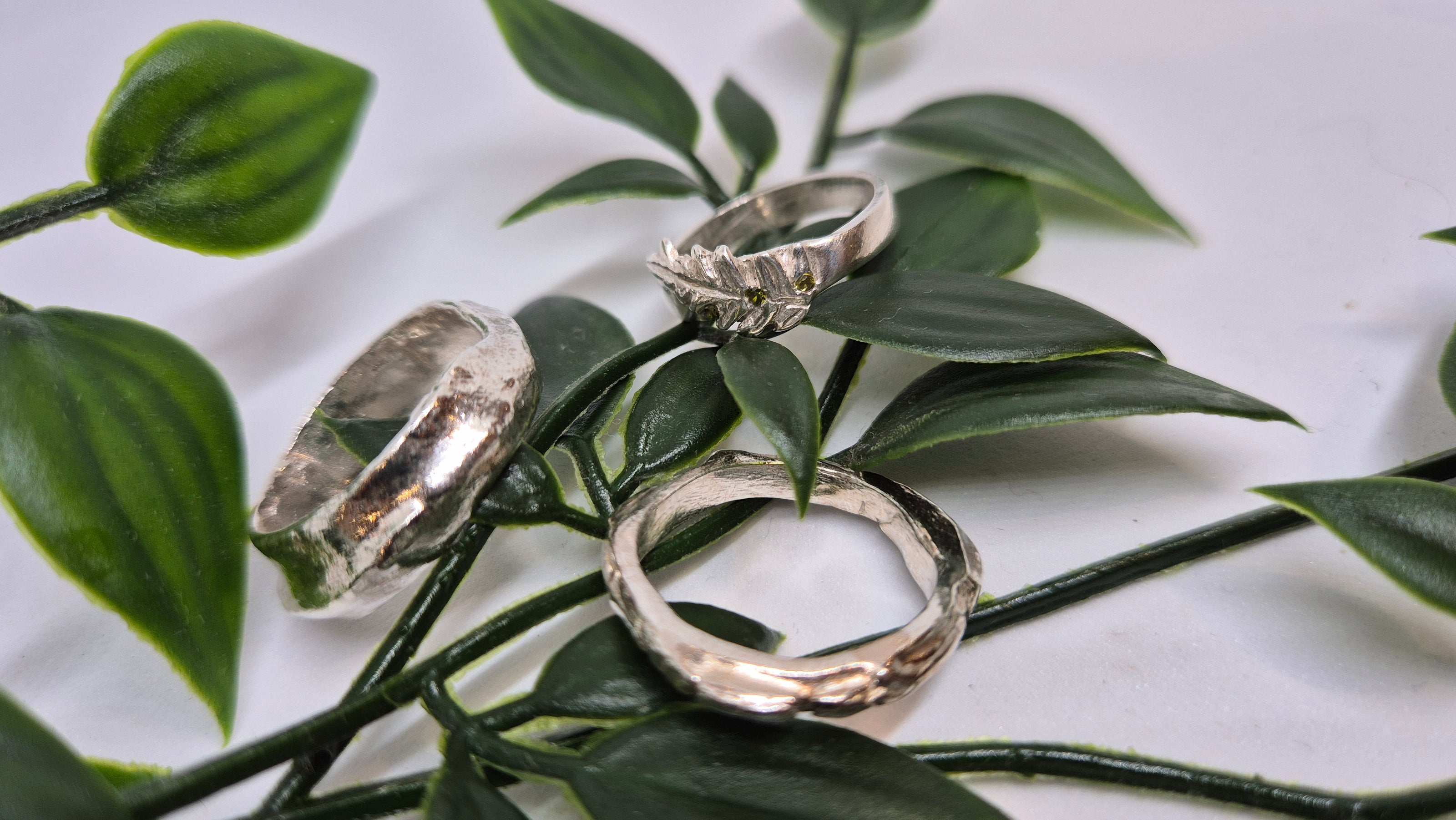Branch Of Silver