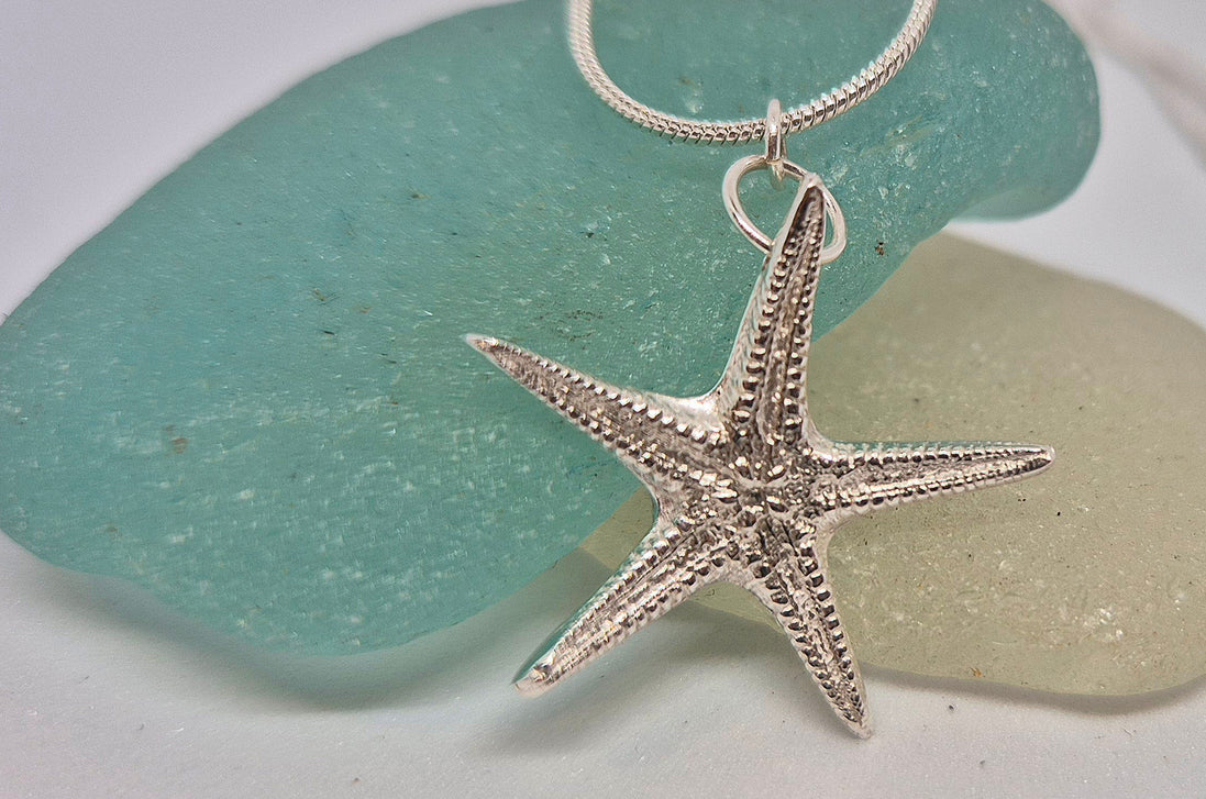 Echino Star