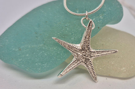 Echino Star