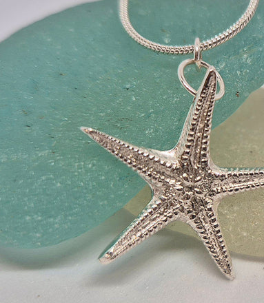 Echino Star