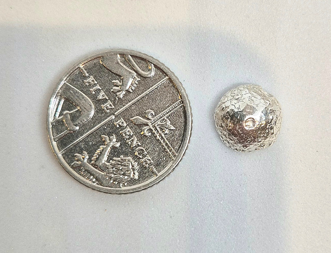 Silver Tide Urchin Earrings