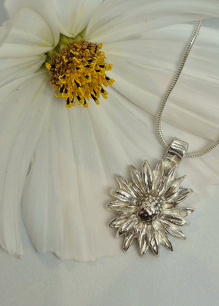Daisy Chain