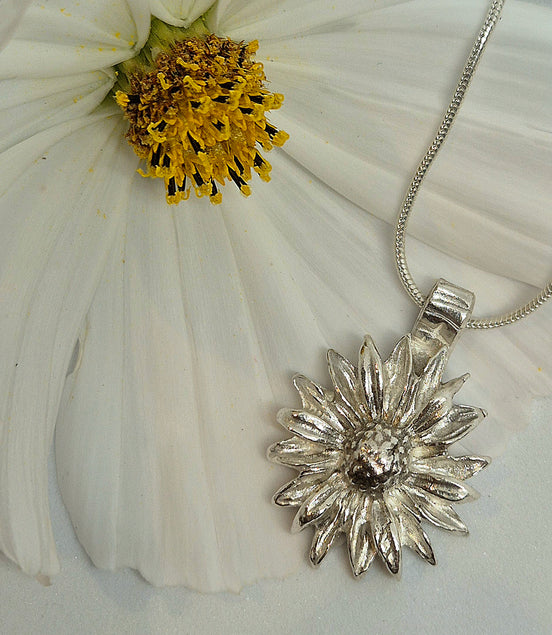Daisy Chain