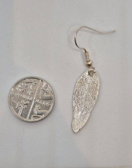 Sage Entwined Drop Earrings