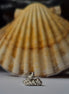 Sell Sea Shells