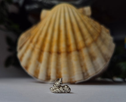 Sell Sea Shells