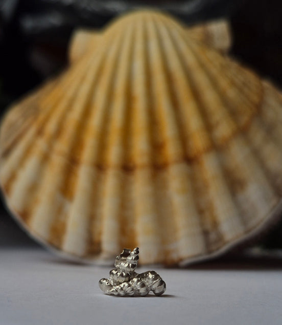 Sell Sea Shells