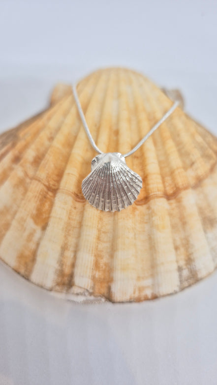 Scalloping Around