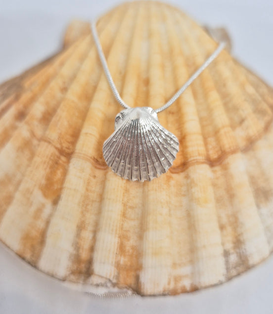 Scalloping Around